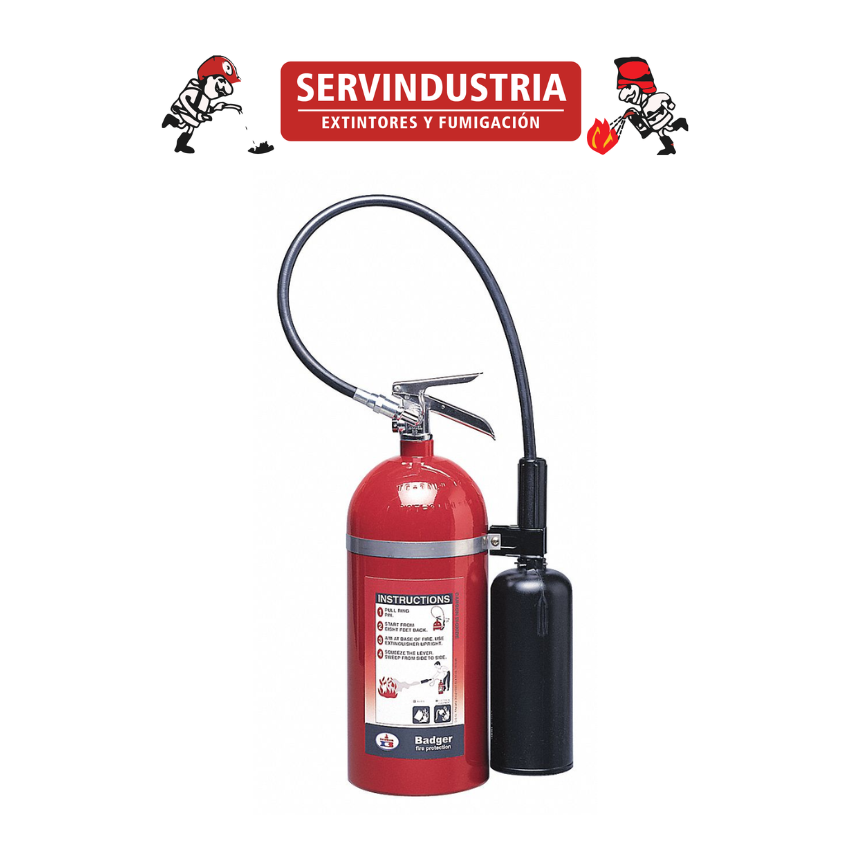 EXTINTOR CO2 DE 10 LBS (BADGER)